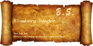 Blumberg Sándor névjegykártya